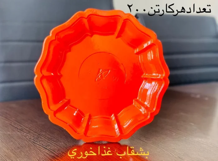 بشقاب غذاخوری کاوشگران